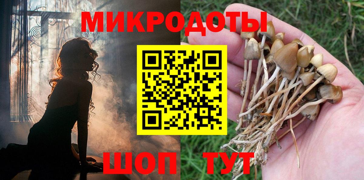 Псилоцибиновые грибы Psilocybe Черкесск